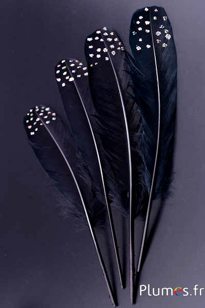 Cygne Soie avec paillettes  - 25-30 cm - noir
